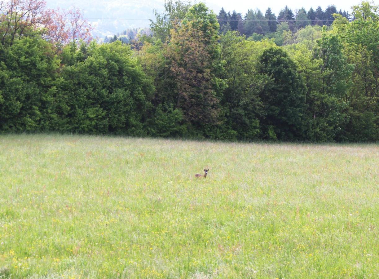 Haus Falle Schiefling am Wörthersee Esterno foto